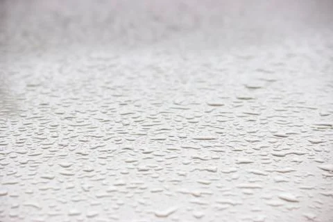 Drops rain macro Stock Photos