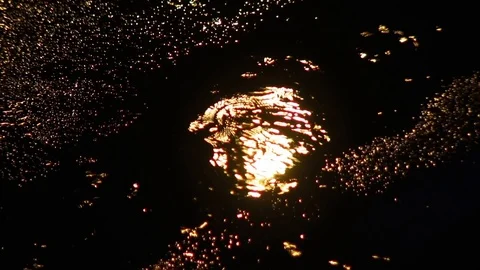 Drops of rain in the night Video stock 91921030