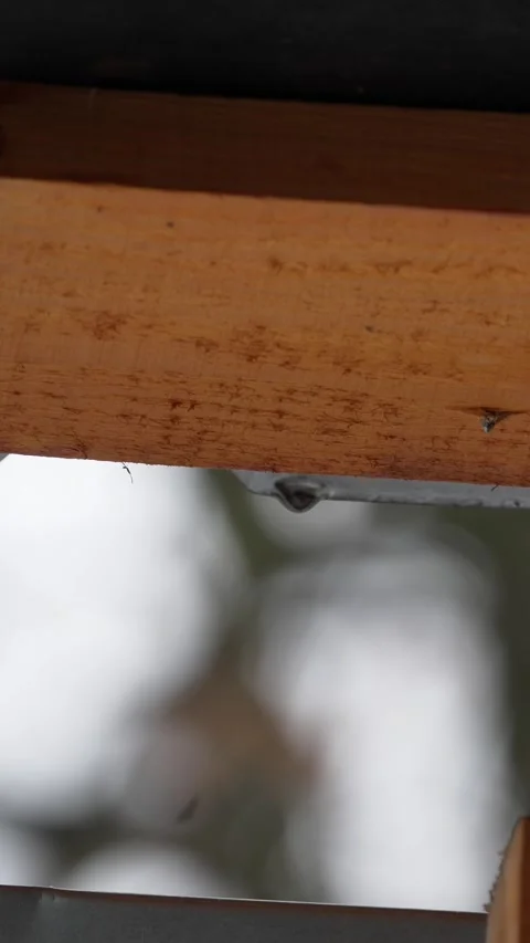 Drops of rain or melting snow drip from a roof or awning on a spring day. Stock Footage 324791373