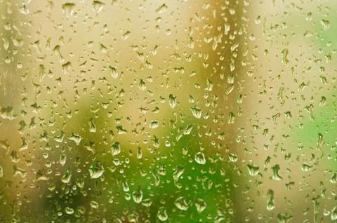Drops of rain Stock Photos