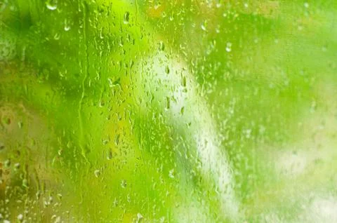 Drops of rain Stock Photos
