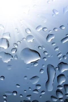 Drops of rain  Stock Photos