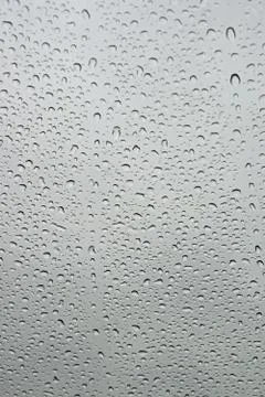 Drops of rain Stock Photos