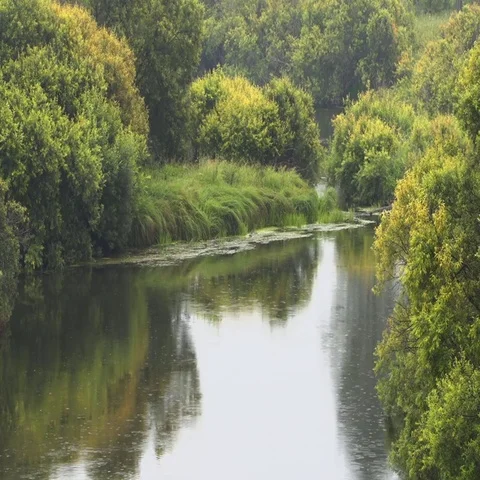Drops of rain on river Stock-Footage 69557069