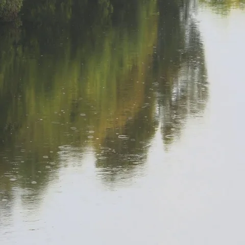 Drops of rain on river  Slow motion Video stock 69556034