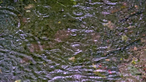Drops of rain in the transparent waters of the Cavuto springs Stock Footage 246036360