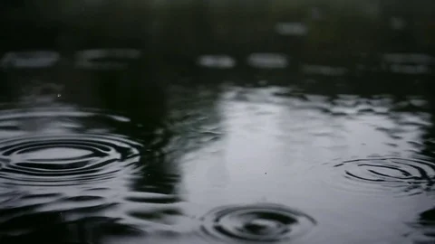 Drops of rain on the water. Stock Footage