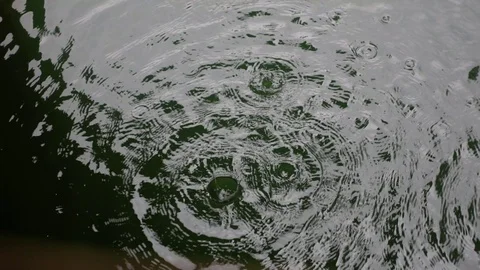 Drops of rain on the water Stock Footage 107659492