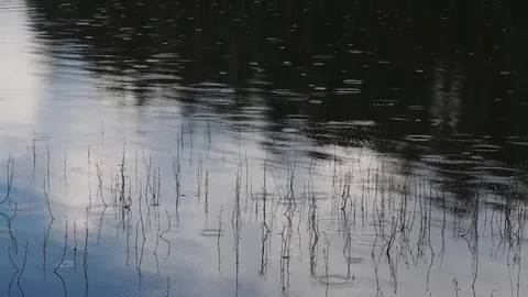 Drops rain on water surface Stock Footage 83095418