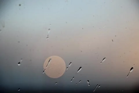 Drops of rain on window with abstract lights 库存照片