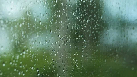 Drops of rain on a window, Blurry forest background. Stock Footage 111470887