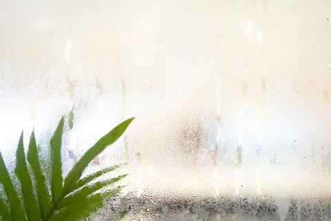 Drops of rain on window with.green leaf background abstract bokeh lights, cop Stock Photos
