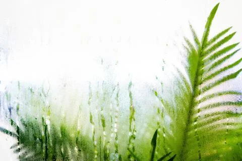 Drops of rain on window with.green leaf background abstract bokeh lights, cop Stock Photos