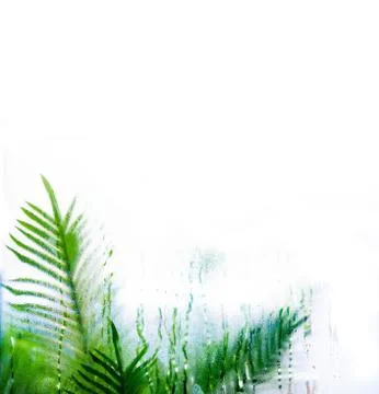 Drops of rain on window with.green leaf background abstract bokeh lights. Stock Photos
