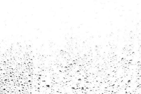 Drops of rain on the window Stock Photos