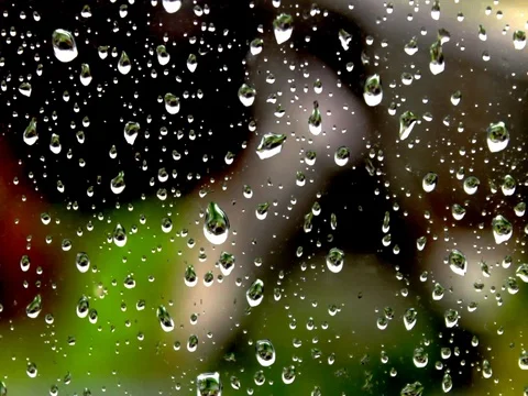 Drops of rain on a windowpane on a background of nature Stock Footage 78048999