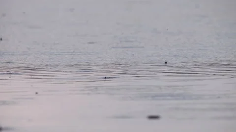 Drops of rainwater fall on the surface of the water in spring Rain as a source Stock Footage 221247120