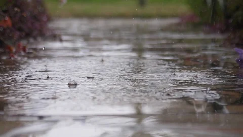 Drops of rainwater falling on the ground on a rainy day slow motion 스톡 동영상 90270853