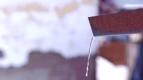 Drops in the rays of the spring sun 動画素材 73359230