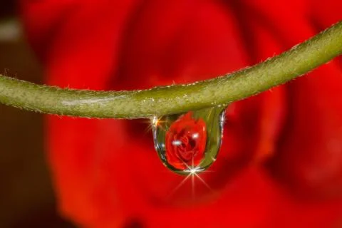 Drops reflect Foto stock