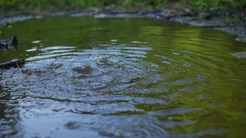 Drops on the river. Water drips. Full shot. Stock-Footage 115027384