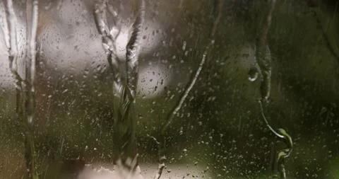 Drops sliding on window glass. Rain drops on glass Stock-Footage 195994061