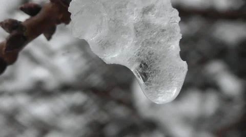 Drops From Snow Melt Stock Footage 50389123