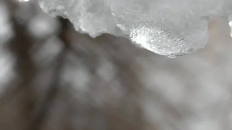 Drops From Snow Melt Stock Footage 50389128