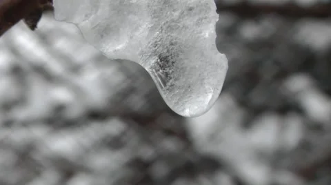 Drops From Snow Melt Stock Footage 50389129