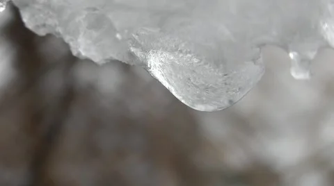 Drops From Snow Melt Stock Footage 50389130