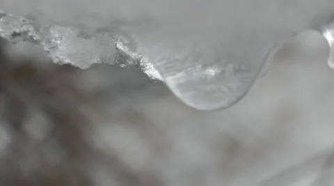 Drops From Snow Melt Stock Footage 50389134