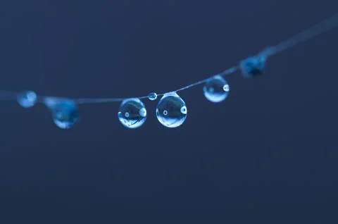 Drops on spiderweb Stock Photos