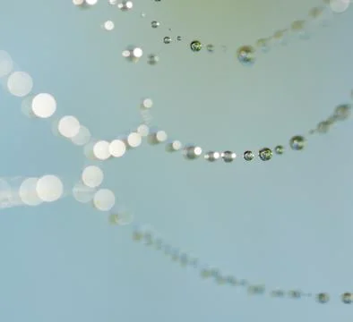 Drops on spiderweb Stock Photos