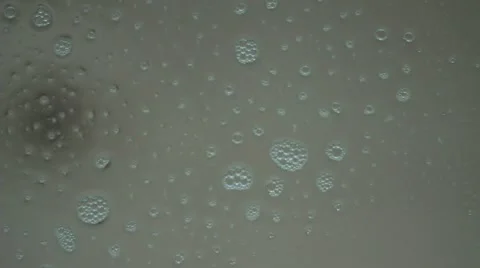 Drops of  spray liquid  flow down on glass. Hand wipes drops Stock Footage 63160982