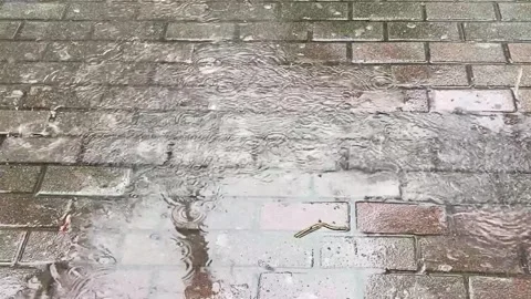 Drops of spring rain fall into puddle on paving slabs Stock-Footage 294635358