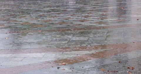 Drops of summer rain fall on the paved road. Concept of ecology, rainy day Stock Footage 207036941