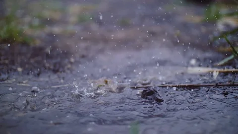 Drops of summer rain fall in a puddle and lift up fountains from the spray. Stock Footage 78848967