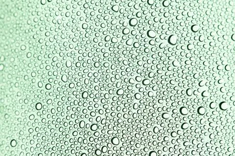 Drops transparent natural texture. Drops create bubble pattern background. Dr 写真素材