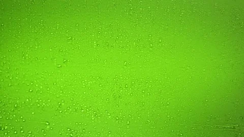 Drops trickling down on green background. Stock Footage 138539079