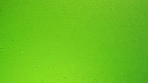 Drops trickling down on green background. Rain Drops Stock Footage Vídeo Stock 138541221