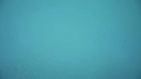 Drops of tropical rain fall into the pool. Stock Footage 146887403