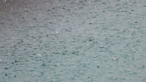 Drops of a tropical rain fall in water Stock Footage 81668373
