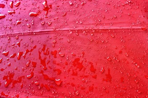 Drops on the umbrella. Stock Photos