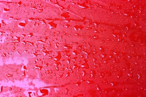 Drops on the umbrella. Stock Photos