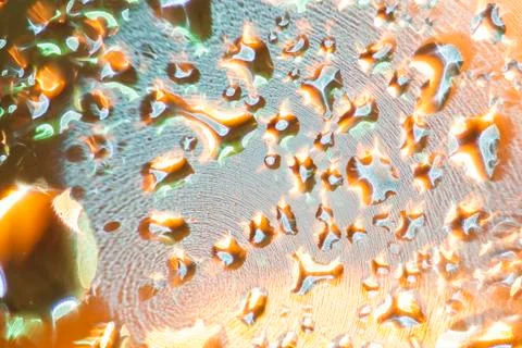 Drops of various shapes Stock Photos