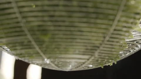 Drops from washed lettuce flow down from colander. Slow motion video Stock Footage 117348446