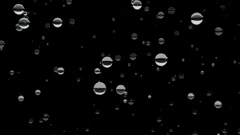 Drops of water. Bubbles of liquid on black background. Stock Footage 200949094
