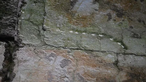 Drops of water on the ceiling 스톡 동영상 124291081