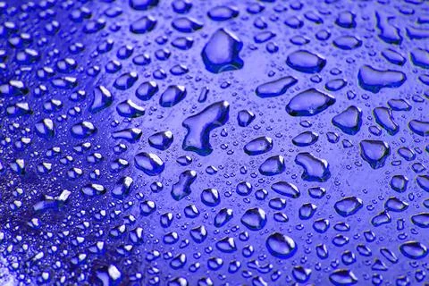Drops of water on a colored background. Abstract texture Stock Photos