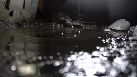 Drops of water drip Stock Footage 154427832